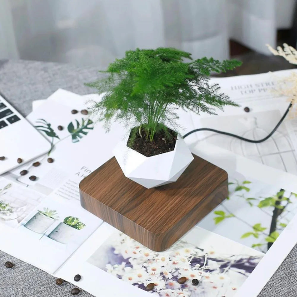 Levitating Air Bonsai Pot